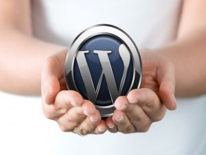 WordPress-ebiznes